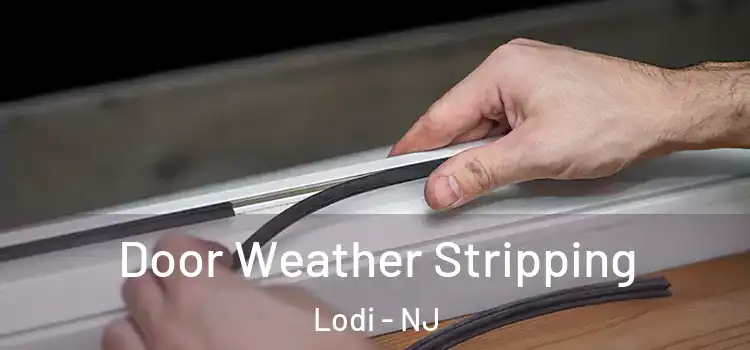  Door Weather Stripping Lodi - NJ