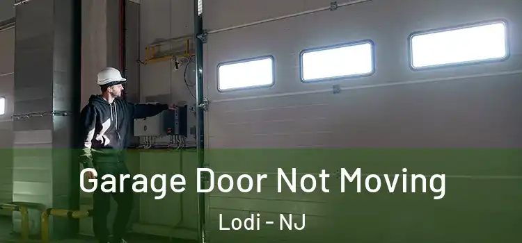  Garage Door Not Moving Lodi - NJ