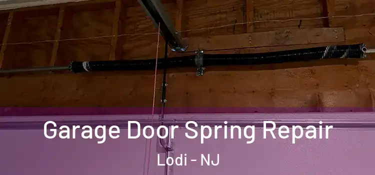  Garage Door Spring Repair Lodi - NJ