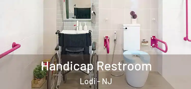  Handicap Restroom Lodi - NJ