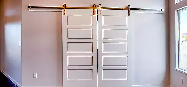 Glass Barn Door with Installation Hardware Kit Lodi