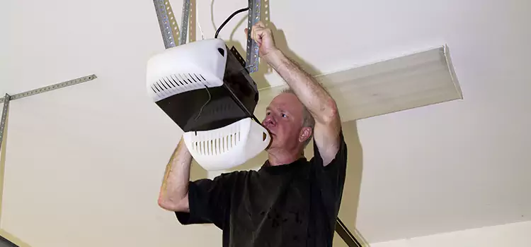 Garage Door Opener Service Lodi