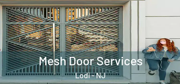  Mesh Door Services Lodi - NJ
