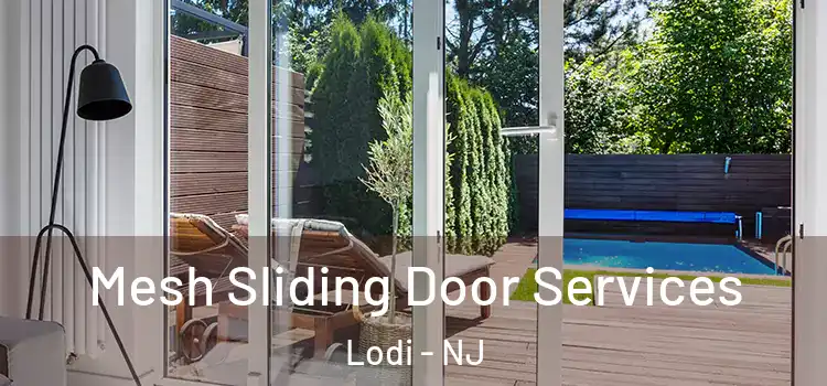  Mesh Sliding Door Services Lodi - NJ