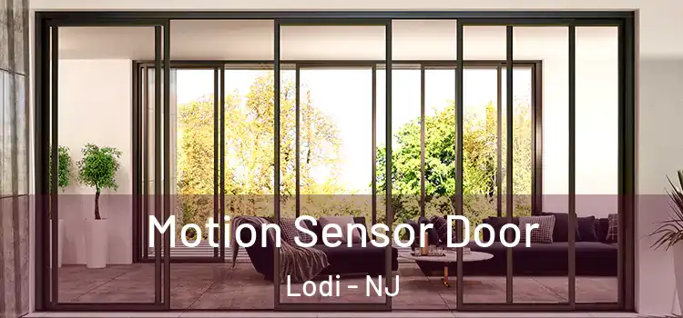  Motion Sensor Door Lodi - NJ